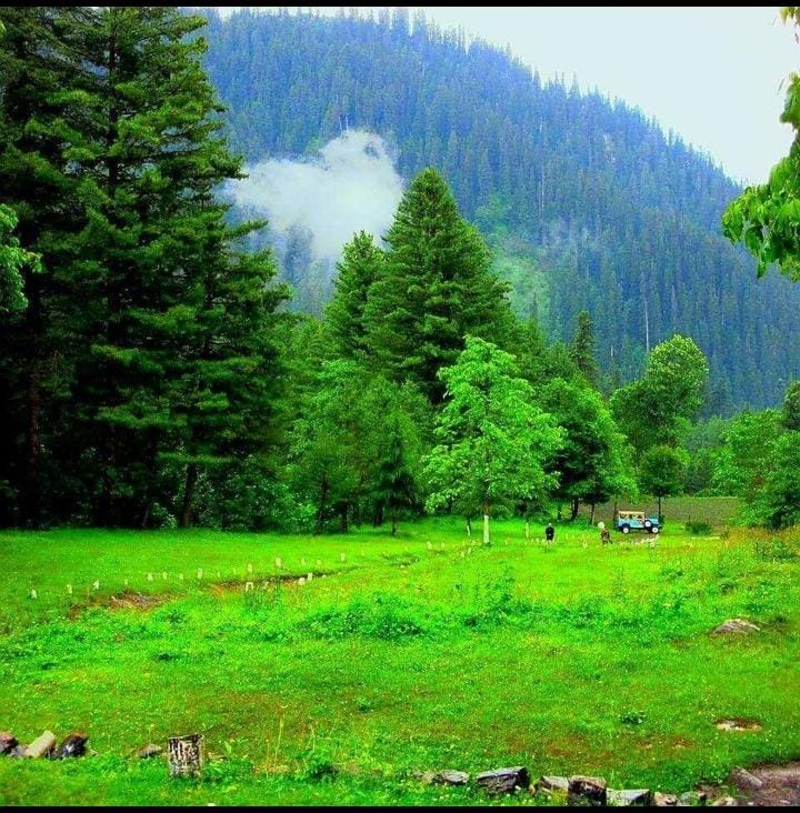 Chinar Resorts, Sharan Valley